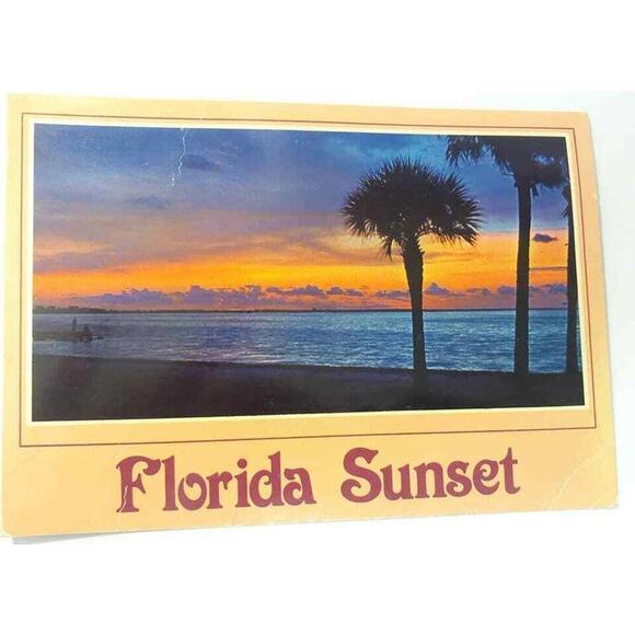 Palms & Florida Fl Sunset Vintage Tropical Travel Ocean Postcard Over The Water - Picture 1 of 2
